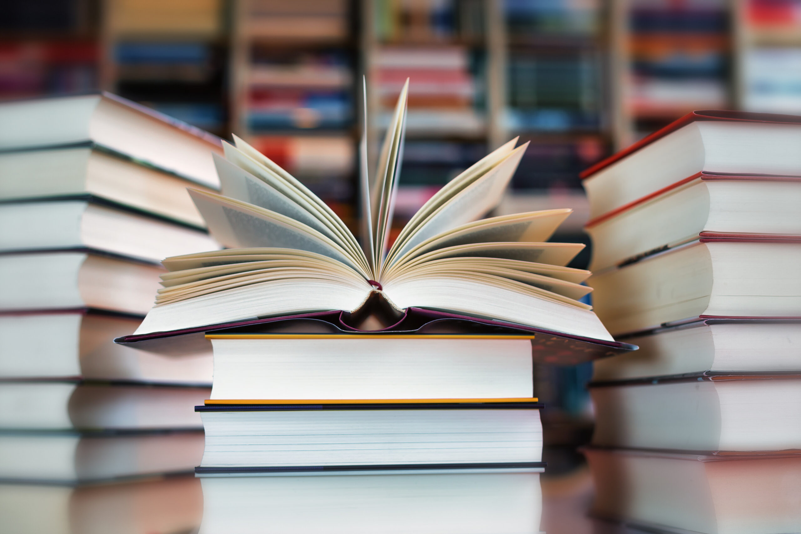 Meine Top 5 Bücher 2024